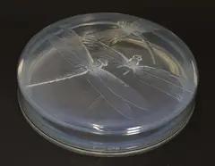 René Lalique (French 1860-1945) by René Lalique, a 'Georgette' opalescent glass box and cover, sold Jul 2022