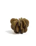 Beate Kuhn, Disk Assembly, glazed stoneware, apparently unmarked