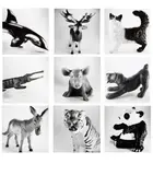 Jean-Baptiste Mondino, Group of Nine Plastic Toy Animal Portraits