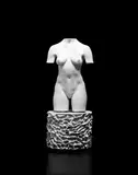 Robert Graham, White Torso