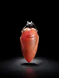 William Morris, Medicine Jar with Cover: Cricket, blown and lamp worked glass, braided fiber, enameled steel stand