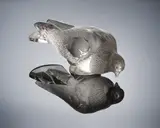 A 'Pigeon Vèrviers' Décorative Motif, designed in 1932 by René Lalique, clear glass, mould-blown, frosted and polished, sold Feb 2019
