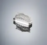 A Very Rare 'Deux Sardines' Paperweight, designed in 1931 by René Lalique, clear glass, mould-blown, frosted and polished, sold Feb 2019