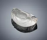 A 'Crabe' Paperweight, designed in 1933 by René Lalique, clear glass, mould-blown, frosted and polished, sold Feb 2019