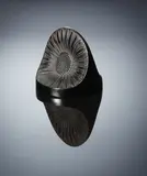 René Lalique, A 'Double Marguerite' Paperweight, designed in 1919, deep amber glass, mould-blown, frosted and polished
