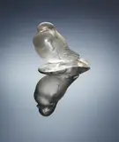 René Lalique, Three 'Moineau' Paperweights: 'Fier', Hardi' and 'Timide', designed in 1929, each of clear glass, moulded, frosted, polished, and each with traces of sepia staining