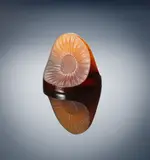 René Lalique, An Early 'Double Marguerite' Paperweight, designed in 1919, amber glass, mould-blown, frosted and polished
