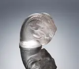 A 'Tête de Bélier' Car Mascot, designed in 1928 by René Lalique, clear glass, mould-blown, frosted and polished: Marcilhac no, sold Feb 2019