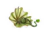A Parrot Green 'Persian' Two Part Set with Red Lip Wraps by Dale Chihuly, circa 2001, comprising of two hand-blown glass optical, striped and elastic forms, offered Jun 2019