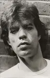 Gottfried Helnwein, Mick Jagger II