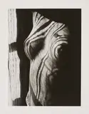 Man Ray, Retour à la raison, 1923, 1991, Gelatinesilberabzug auf Agfa, Fotografie aus dem Nachlass