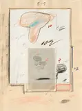 Cy Twombly, Natural History Part I, Mushrooms, No. III, 1974, Farblithografie, Colotypie, Fotochromie sowie Collage (von Hand überarbeitet) auf Richard de Bas (Wasserzeichen)