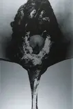 Otto Piene, Aus: Addis Abeba, 1972, Farbserigrafie auf Chromokarton