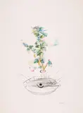 Reverence de Grosillier (Aus: Flordali Les Fruits) by Salvador Dalí, 1969/70, Farbfotolithografie und Radierung auf BFK RIVES (Wasserzeichen), sold Apr 2023