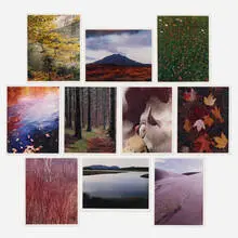 Eliot Porter, In Wildness, dye-transfer print