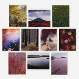 Eliot Porter, In Wildness, dye-transfer print