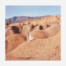 The State I'm In by Friedrich Kunath, 2011, C-print mounted to Sintra, sold Mar 2024