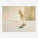 Laura Letinsky, Untitled #51 (from the I Did Not Remember I Had Forgotten series), 2002, C-print mounted to Sintra