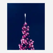 David Benjamin Sherry, Semen and Grapes, 2008, C-print