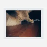 Paul McCarthy, Dog