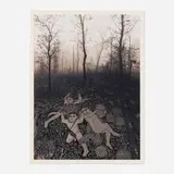 Jerry Uelsmann, Forest Carpet