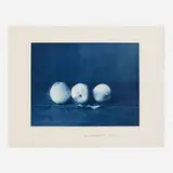 John Dugdale, Three White Peaches
