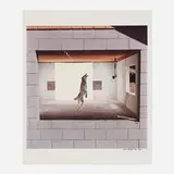 James Balog, Gray Wolf, dye-transfer print