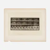 Eadweard Muybridge, Plate 708 (from the Animal Locomotion series), 1887, vintage collotype