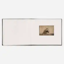 Ron Leighton, Untitled (Artist's book), 1976, bound book, toned gelatin silver print