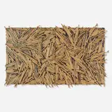 Charles Arnoldi, Untitled, 1985, acrylic, modeling paste, wooden sticks on two joined panels