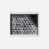 Toshio Shibata, Nakanojo Town, Gunma Prefecture, gelatin silver print from Polaroid Type 55 Positive/Negative film