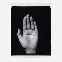 Bea Nettles, Untitled, unique large-format Polaroid PolaPan print