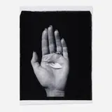 Bea Nettles, Untitled, unique large-format Polaroid PolaPan print