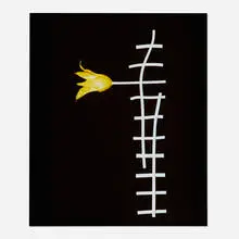 Unglee, Tulipe (from the Éludienne series), 1991, Cibachrome print from Polaroid Type 35 PolaChrome film