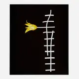 Unglee, Tulipe (from the Éludienne series), 1991, Cibachrome print from Polaroid Type 35 PolaChrome film