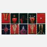 María Magdalena Campos-Pons, Abridor de Caminos (The One Who Opens the Path), 1997, unique large-format Polaroid Polacolor prints in ten parts