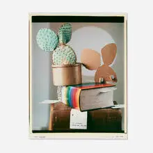 Robert Cumming, Easy Analogy, 1979, unique large-format Polaroid Polacolor print