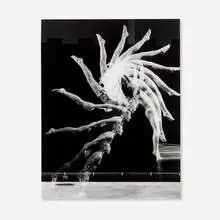 Untitled by Harold Eugene Edgerton, c. 1954, vintage gelatin silver print, sold Jun 2025