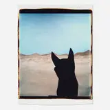 John Divola, Untitled