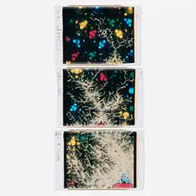 Ellen Carey, Untitled (triptych), 1991, unique large-format Polaroid Polacolor prints