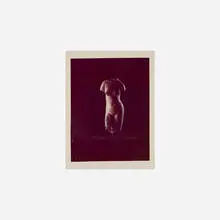 Untitled by Elliott Erwitt, c. 1980, unique Polaroid Type 808 Polacolor print, sold Jun 2025