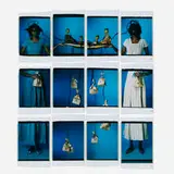 María Magdalena Campos-Pons, De Las Dos Aguas (Of the Two Waters), 2007, unique large-format Polaroid Polacolor print in twelve parts