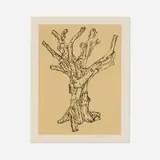 Ai Weiwei, Cedar, 2022, screenprint in colors on Somerset Velvent Antique 280gsm