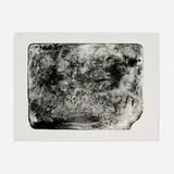 William Wegman, Untitled