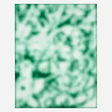 Jeff Elrod, Green Echo, 2013, archival inkjet print