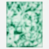 Jeff Elrod, Green Echo