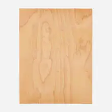 Barry Ratoff, Wood Drawing (Big or Small Fuck M All), 2004, wood veneer paper collage