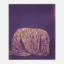Guise by William Wegman, 1988, Polaroid, sold Jul 2023