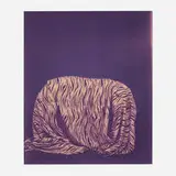 William Wegman, Guise