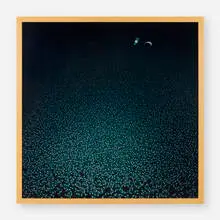 Siebren Versteeg, Robot Drowning in Nanobots, 2005, Duratran in lightbox